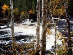 Big Falls, Humber River